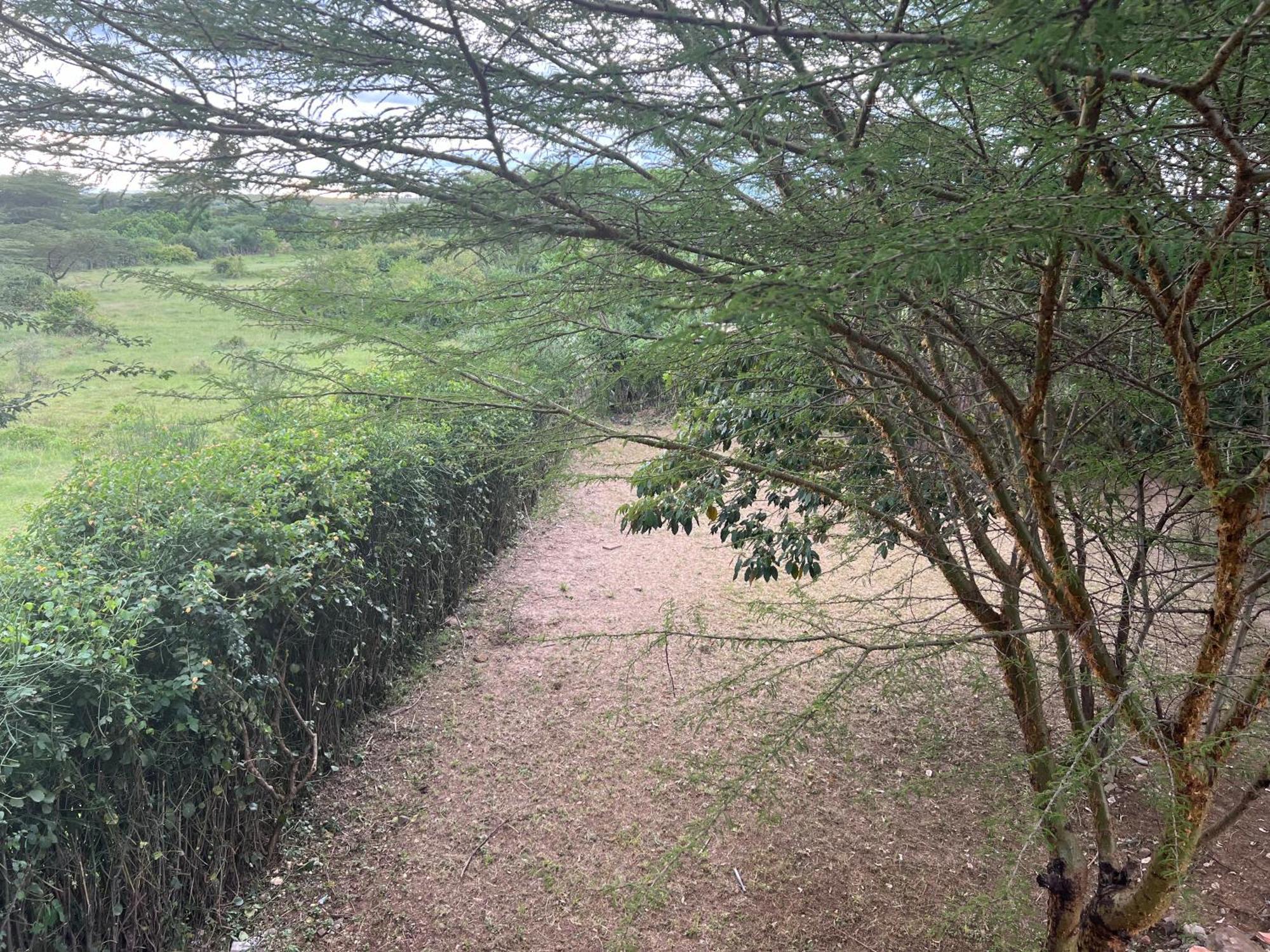 마사이마라 Olaloi Mara Camp 빌라 외부 사진